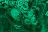 Flowery Polished Malachite Slab - DR Congo #350822-1
